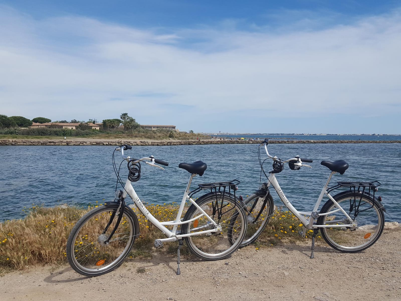 Location vélos à La GrandeMotte Petits prix La Vida Loca