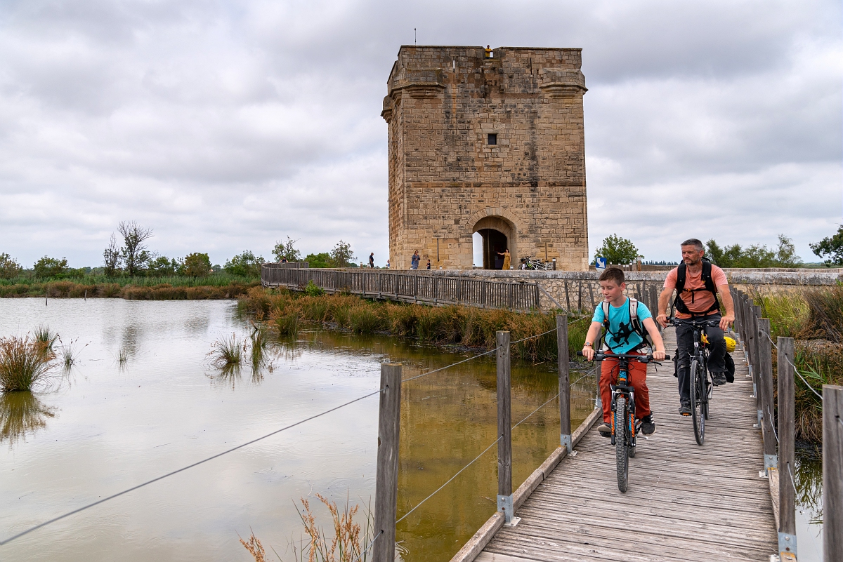 Cyclotourisme sur la ViaRhona a la Tour Carbonniere